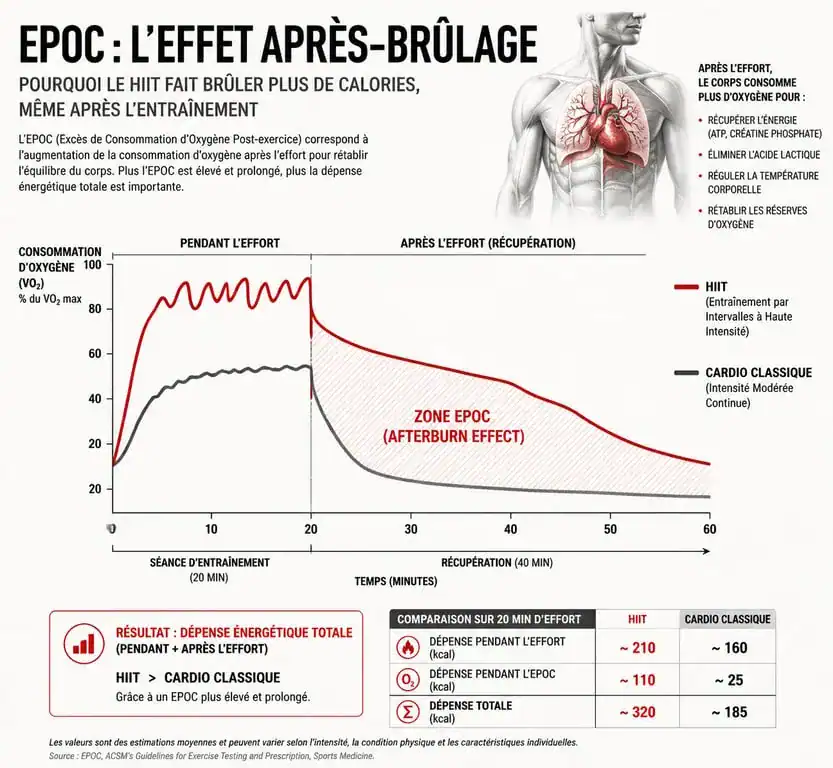 Infographie illustrant l'effet afterburn (EPOC) du HIIT pour la perte de poids