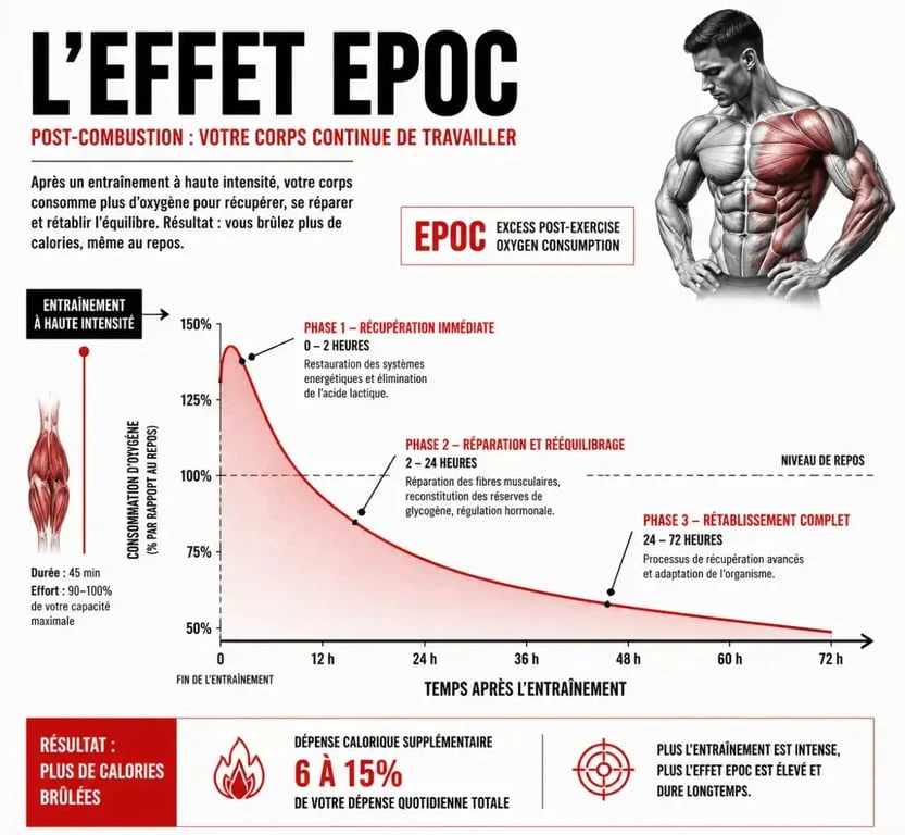 Schéma explicatif de l'effet post-combustion (EPOC) après une séance de musculation pour brûler des calories